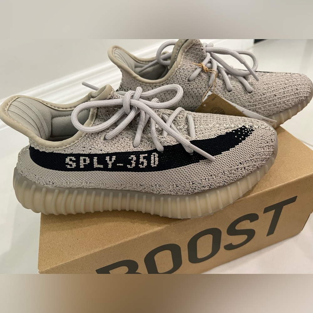 Yeezy Boost 360 V2 Shoes